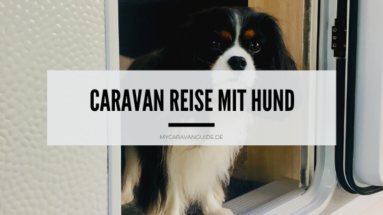 Caravan Reise mit Hund