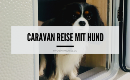 Caravan Reise mit Hund